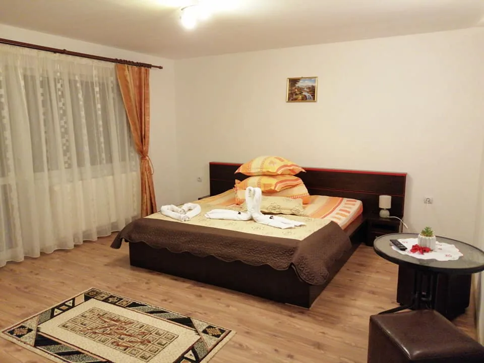 Casa Ionuț Alexandru din Moieciu — foto 8