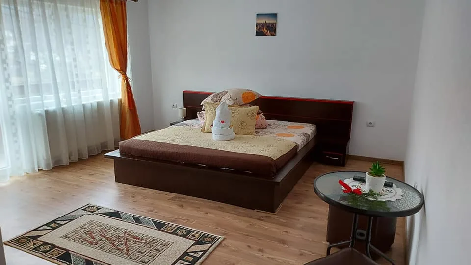 Casa Ionuț Alexandru din Moieciu — foto 4