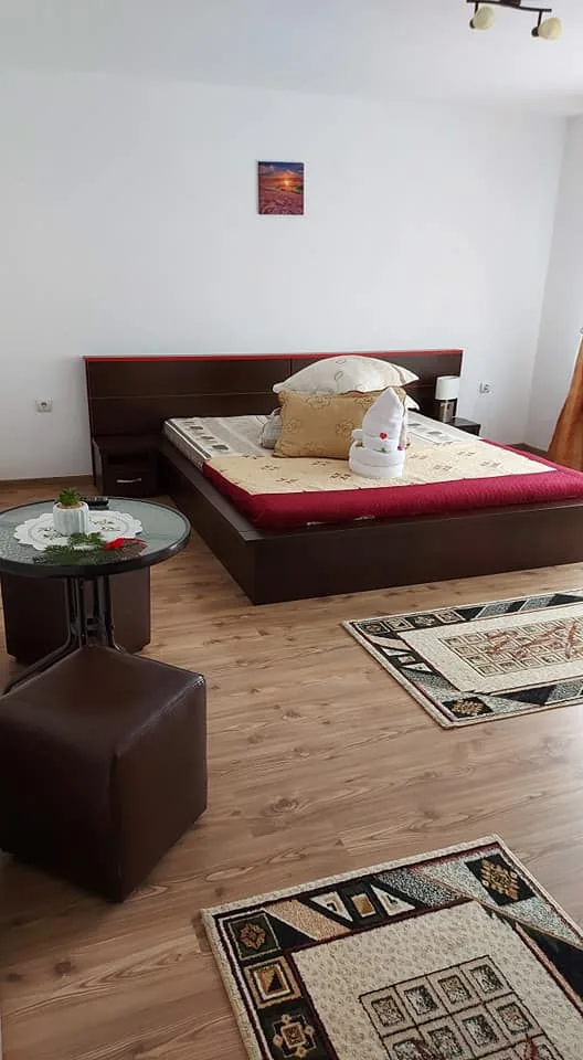 Casa Ionuț Alexandru din Moieciu — foto 9