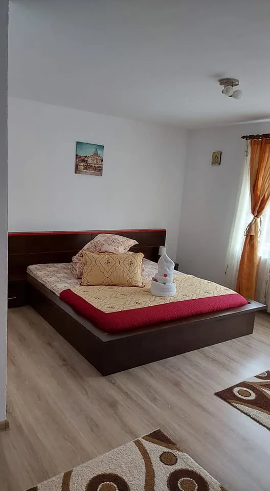 Casa Ionuț Alexandru din Moieciu — foto 7