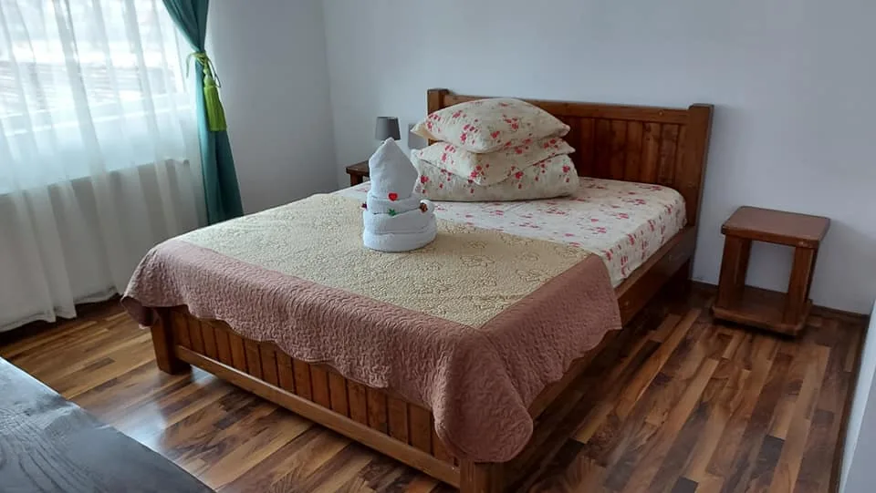 Casa Ionuț Alexandru din Moieciu — foto 14