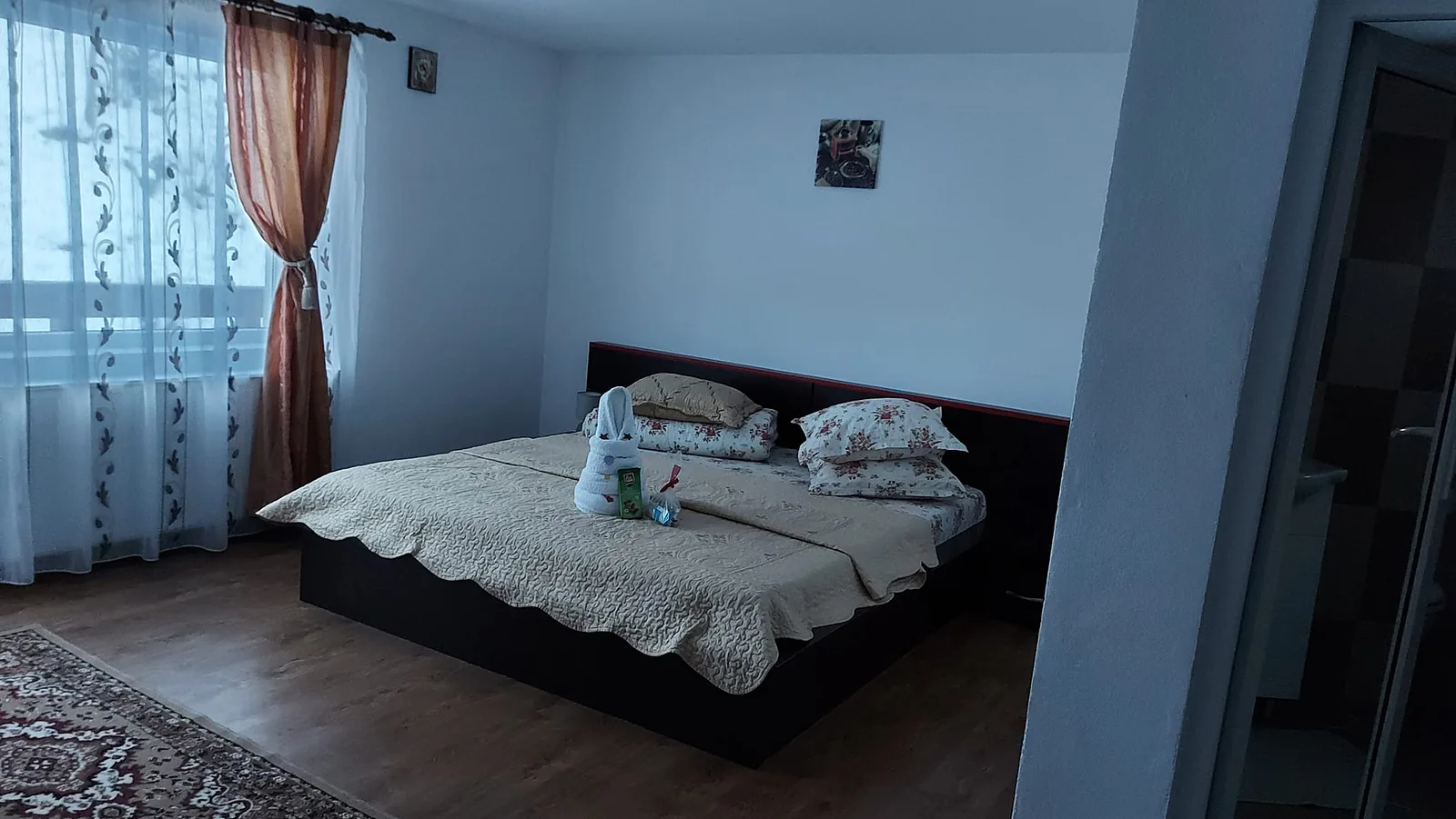 Casa Ionuț Alexandru din Moieciu — foto 17