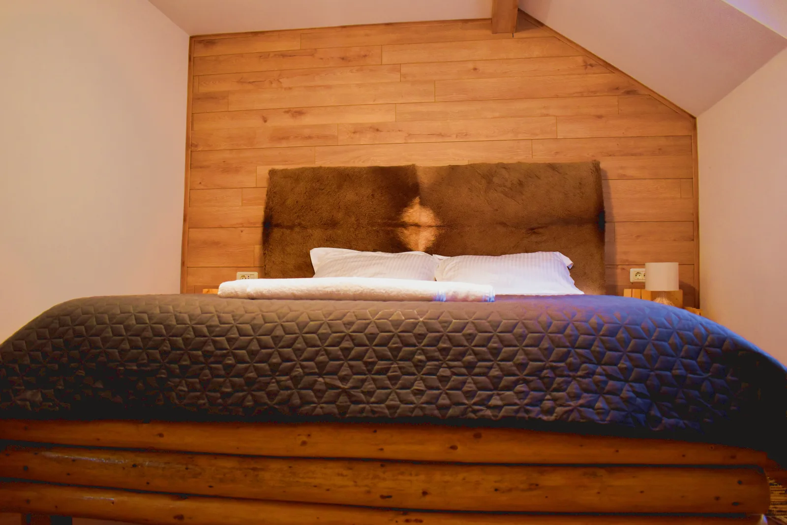 Casa Vânătorului Buzăiel — foto 10