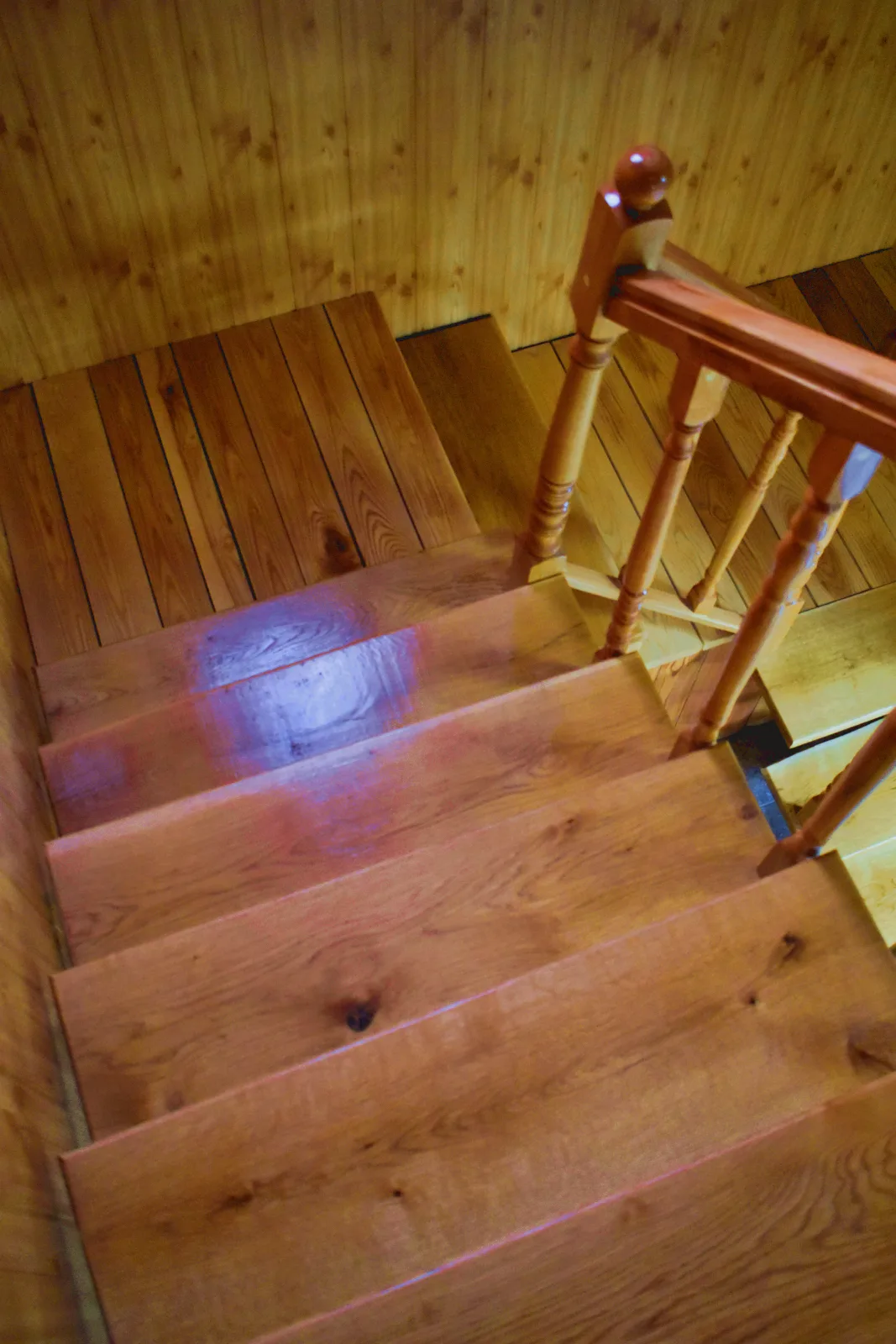 Casa Vânătorului Buzăiel — foto 22