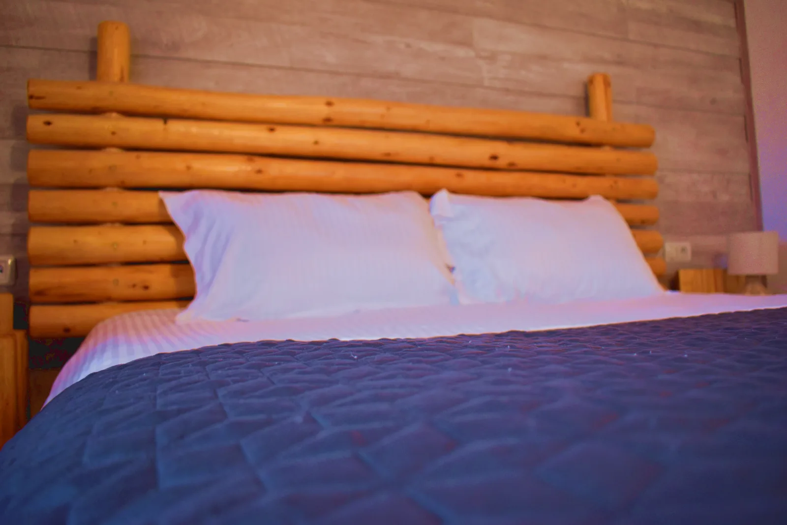 Casa Vânătorului Buzăiel — foto 3