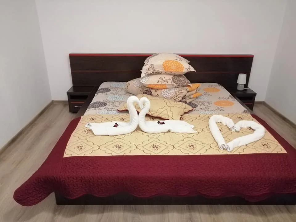 Casa Ionuț Alexandru din Moieciu — foto 12