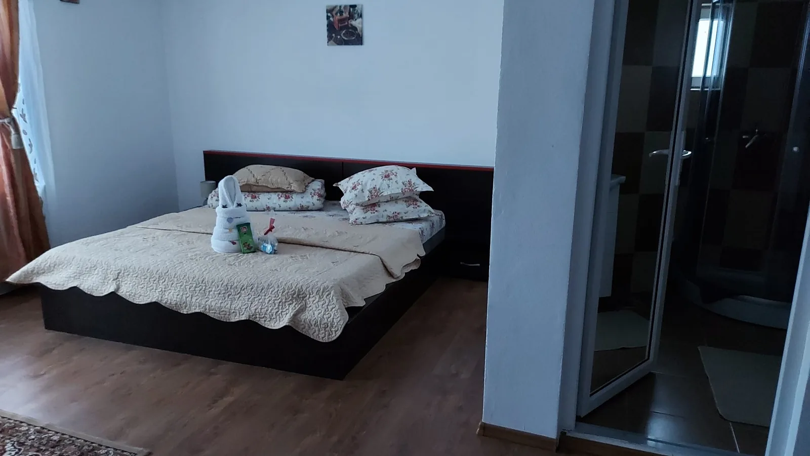 Casa Ionuț Alexandru din Moieciu — foto 16