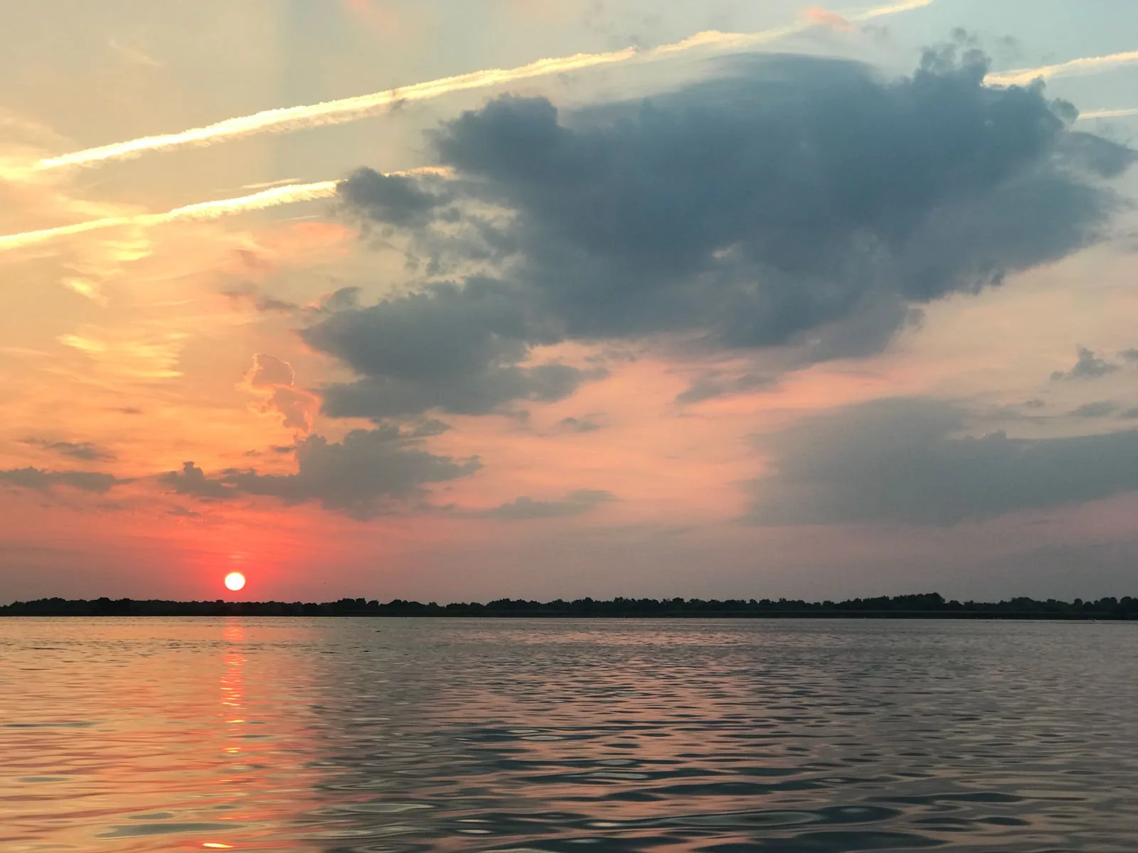 Pensiunea Eden Delta Dunarii — foto 47