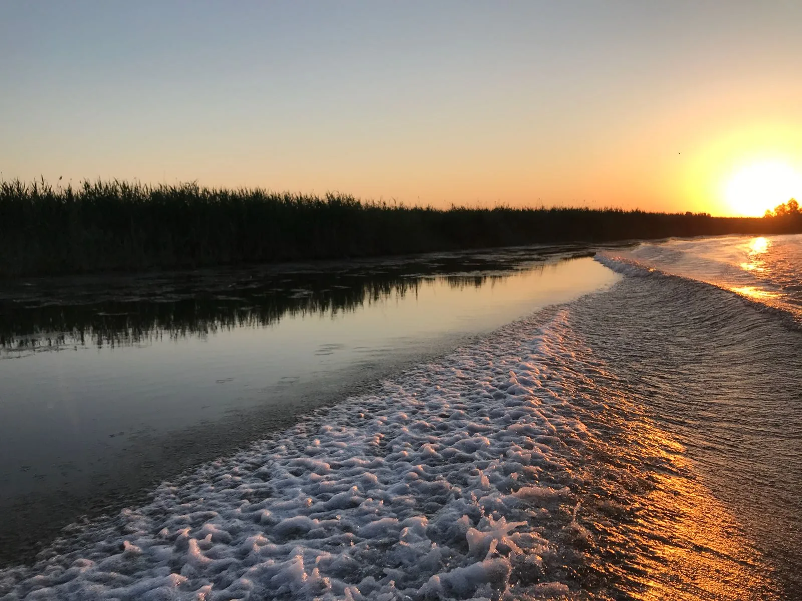 Pensiunea Eden Delta Dunarii — foto 51
