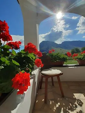 Casa Kiraly Vendeghaz — foto 14