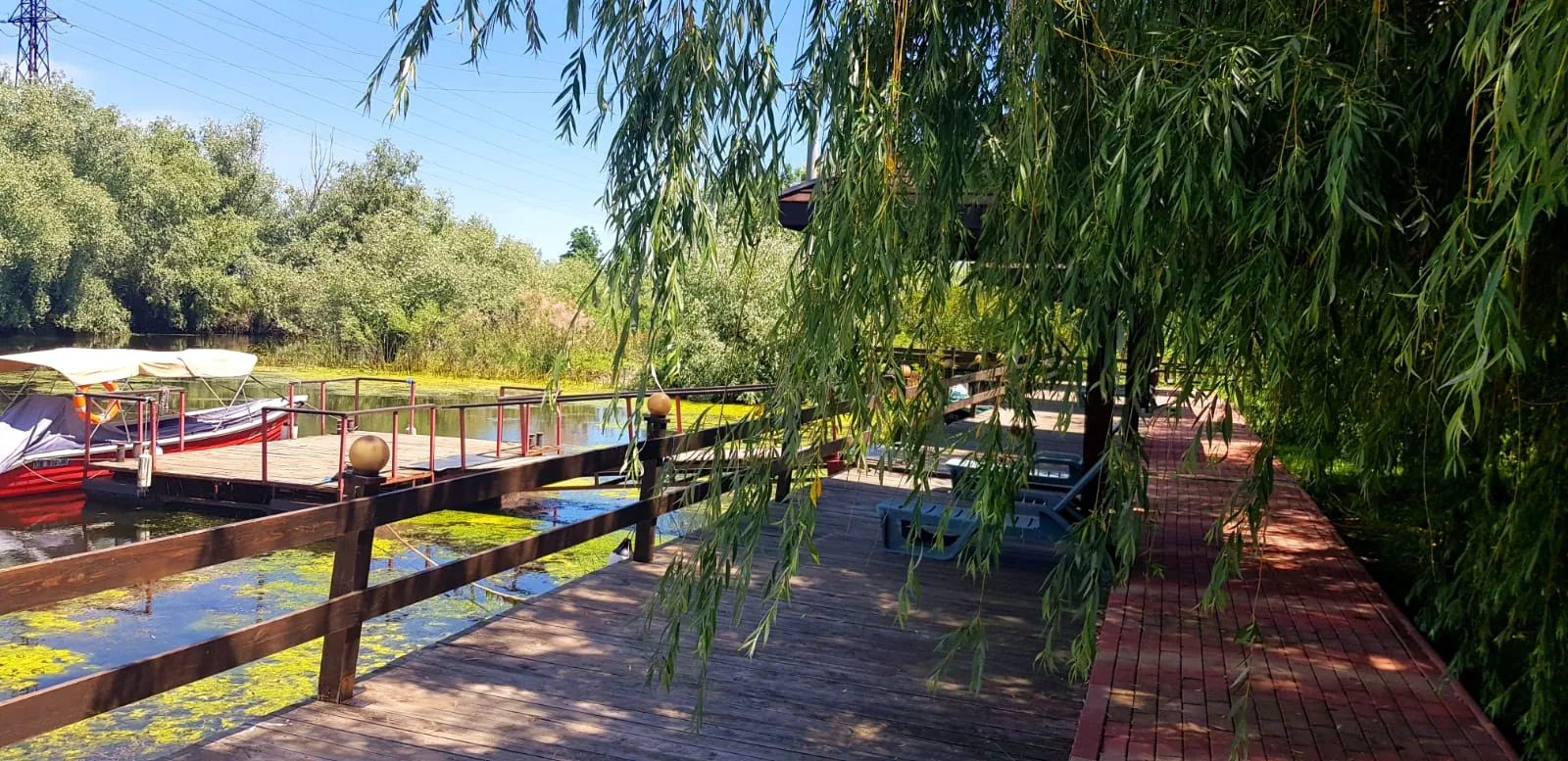 Pensiunea Eden Delta Dunarii — foto 50