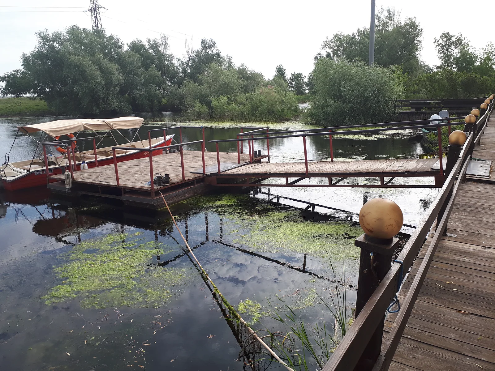 Pensiunea Eden Delta Dunarii — foto 54