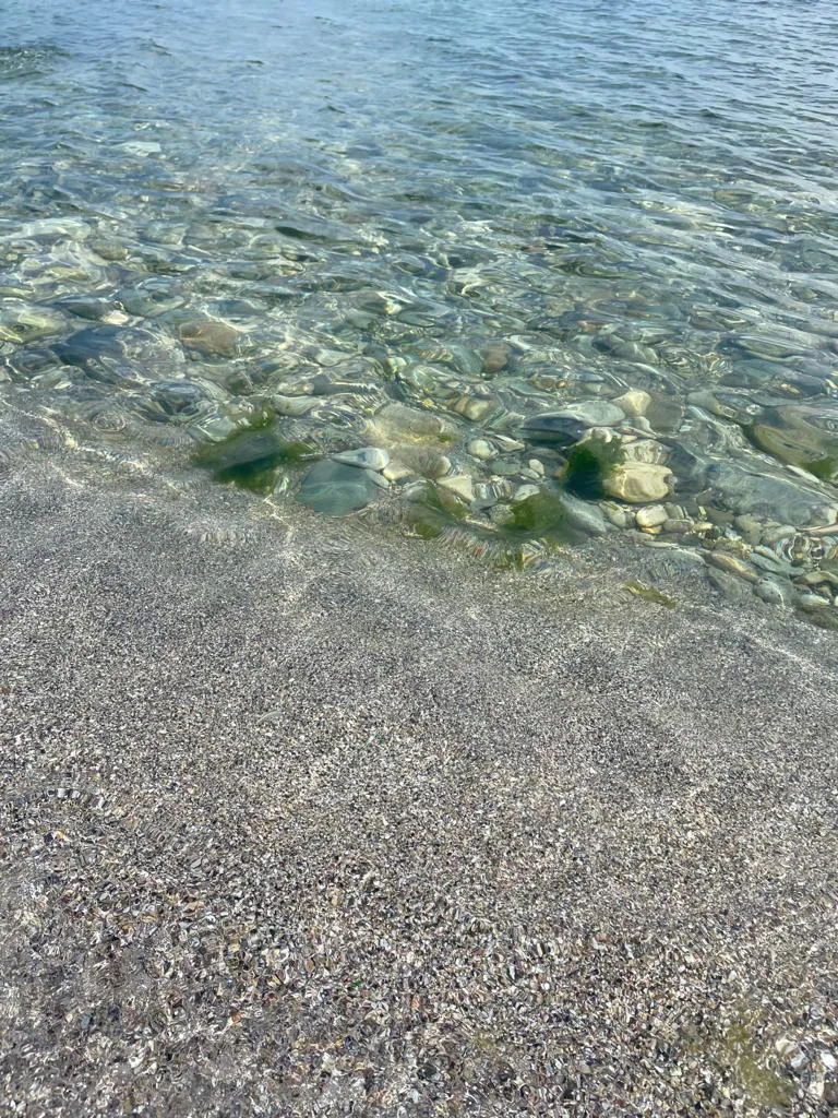 Maisondugolf, Costinesti — foto 63