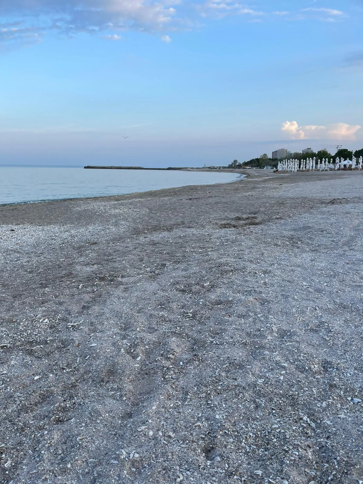 Maisondugolf, Costinesti — foto 69