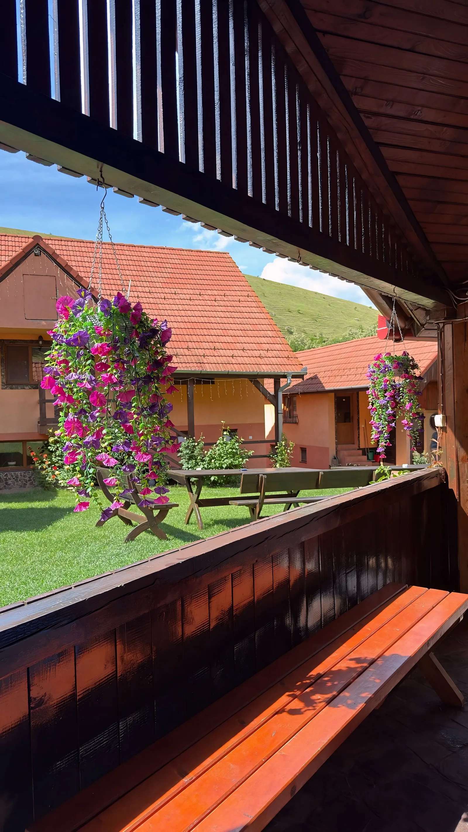 Pensiunea Darian & David, Marginimea Sibiului — foto 116