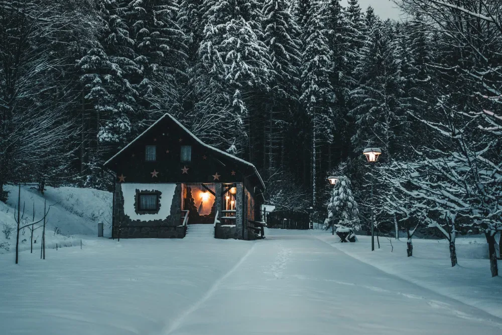 Domeniul Toma, Valea Dobârlăului — foto 20