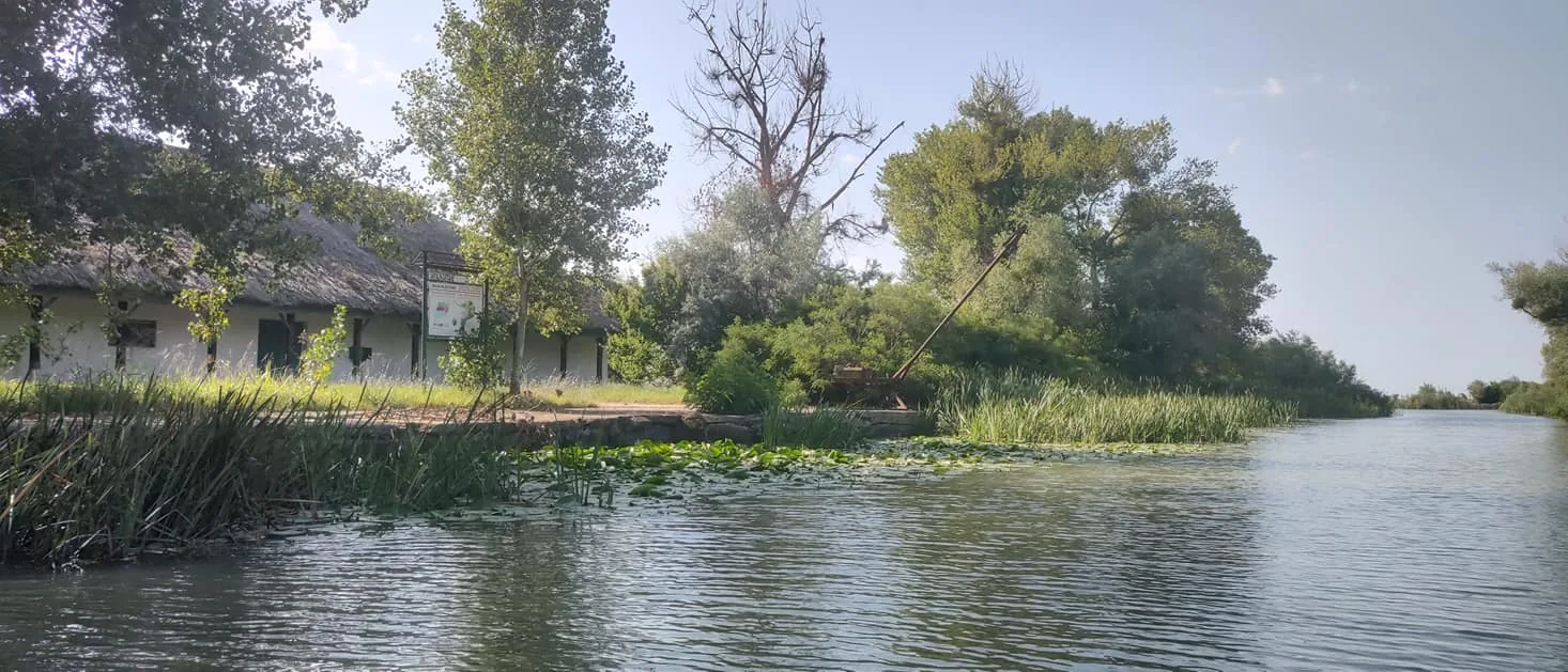 Casa Roko — foto 14