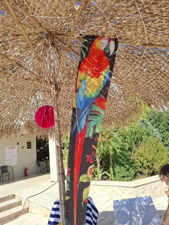 Complex Casa Ani — foto 16