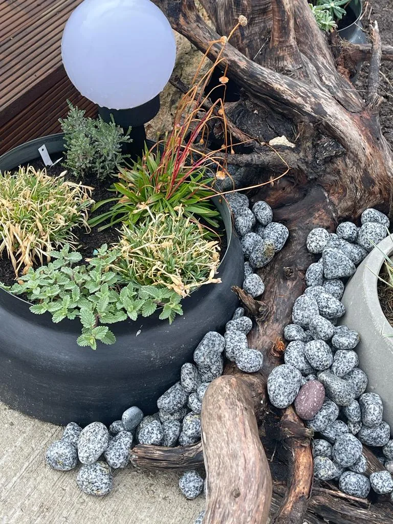 Maisondugolf, Costinesti — foto 61