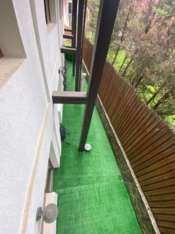 Chalet Wiese — foto 31