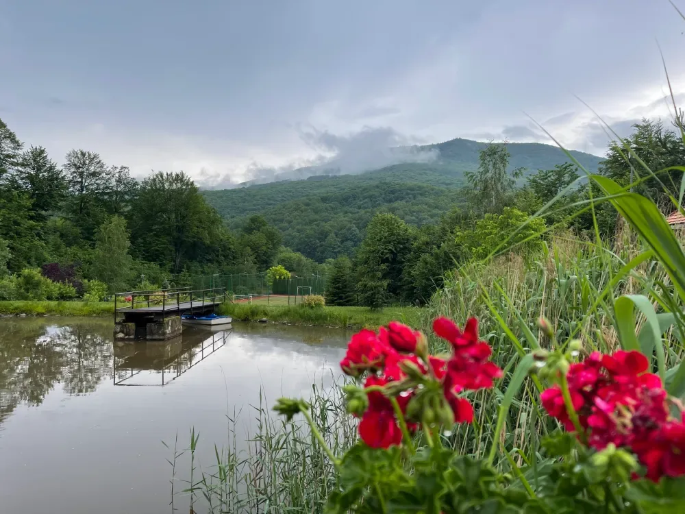 Domeniul Toma, Valea Dobârlăului — foto 15