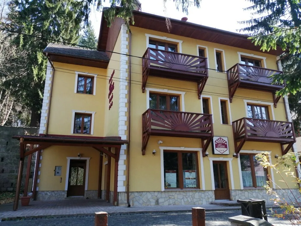 Pensiunea Flora — foto 2