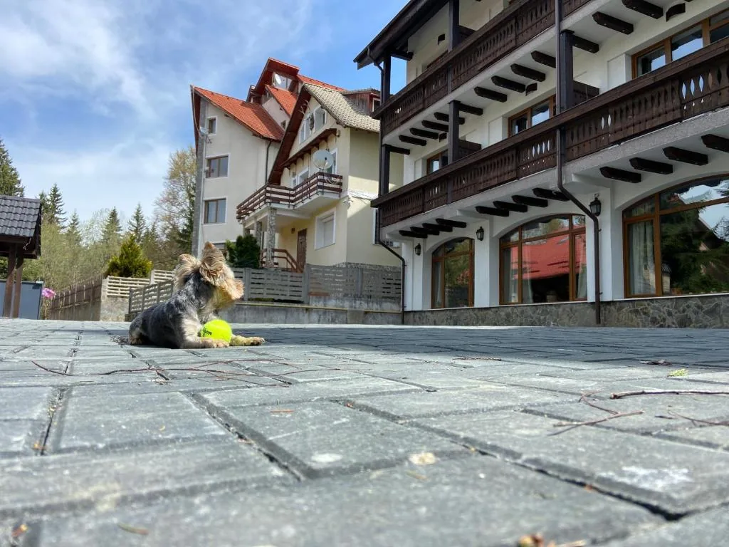 Chalet Wiese — foto 3