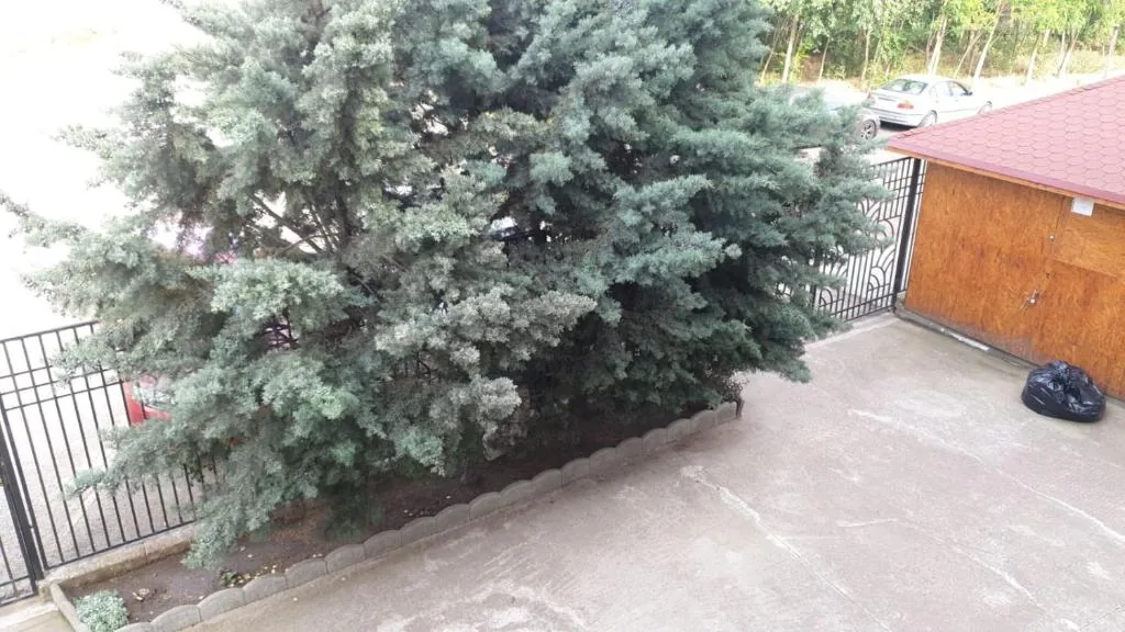 CASA VIENNA — foto 12