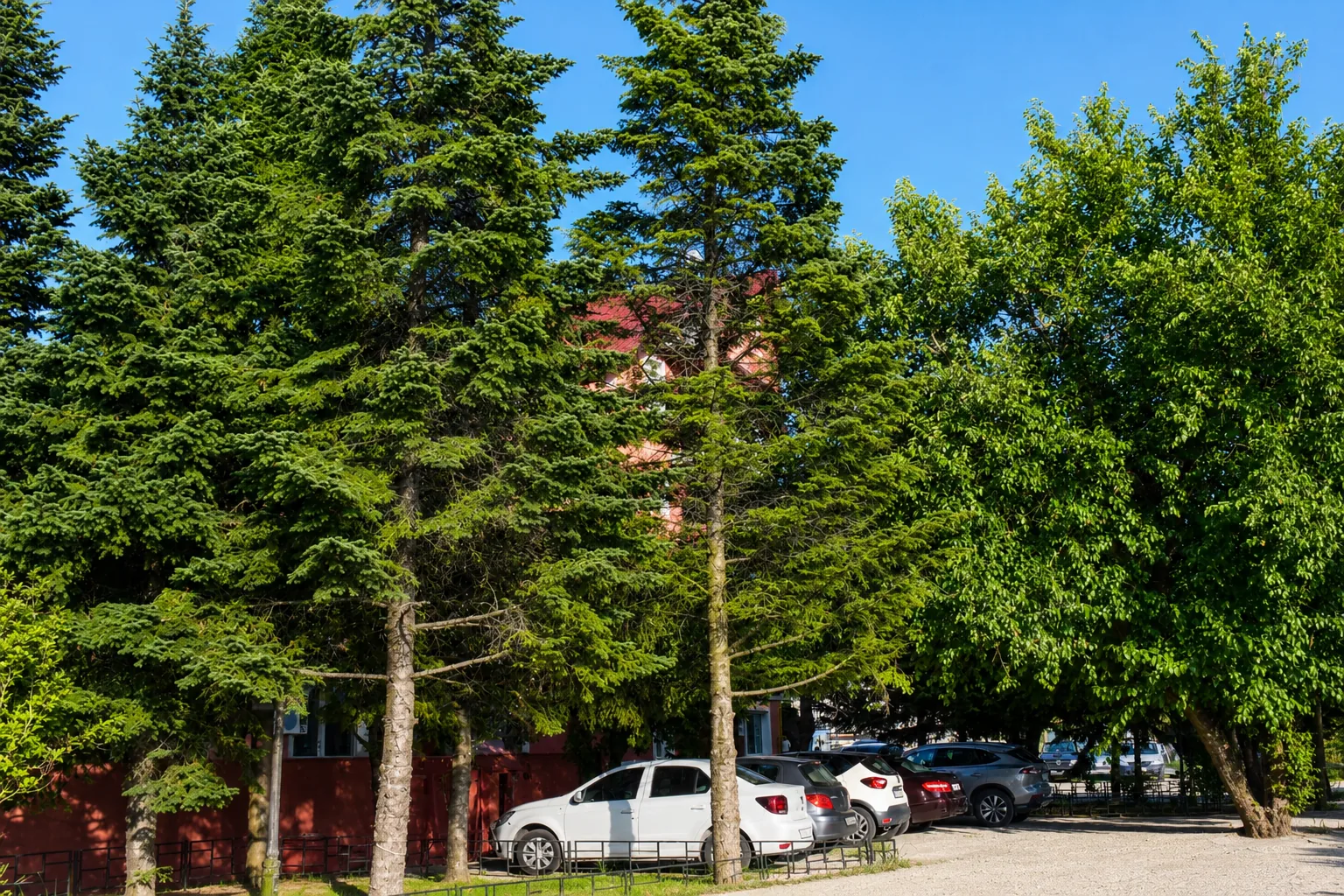 Motel DanaCris, Bragadiru — foto 132