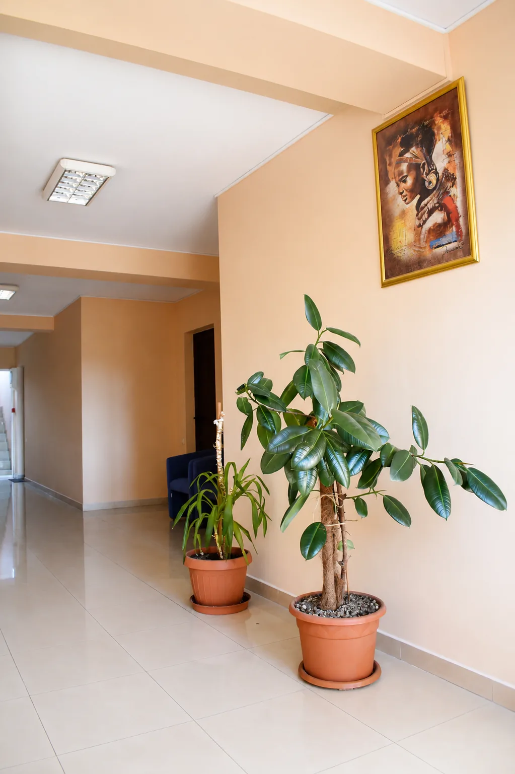Motel DanaCris, Bragadiru — foto 39