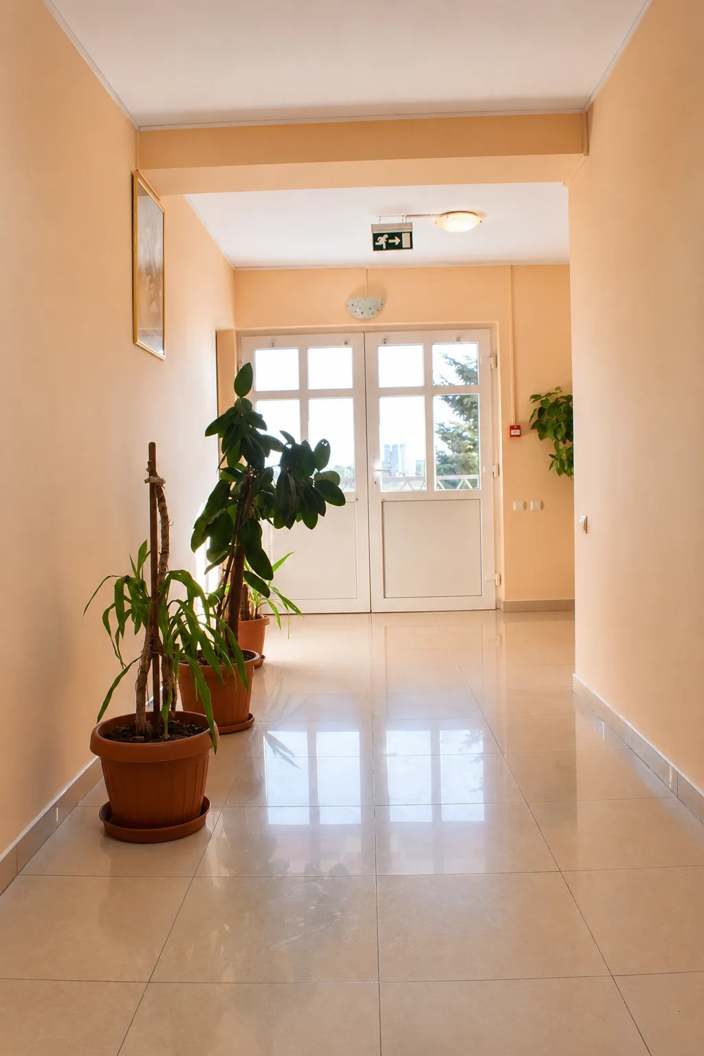Motel DanaCris, Bragadiru — foto 38