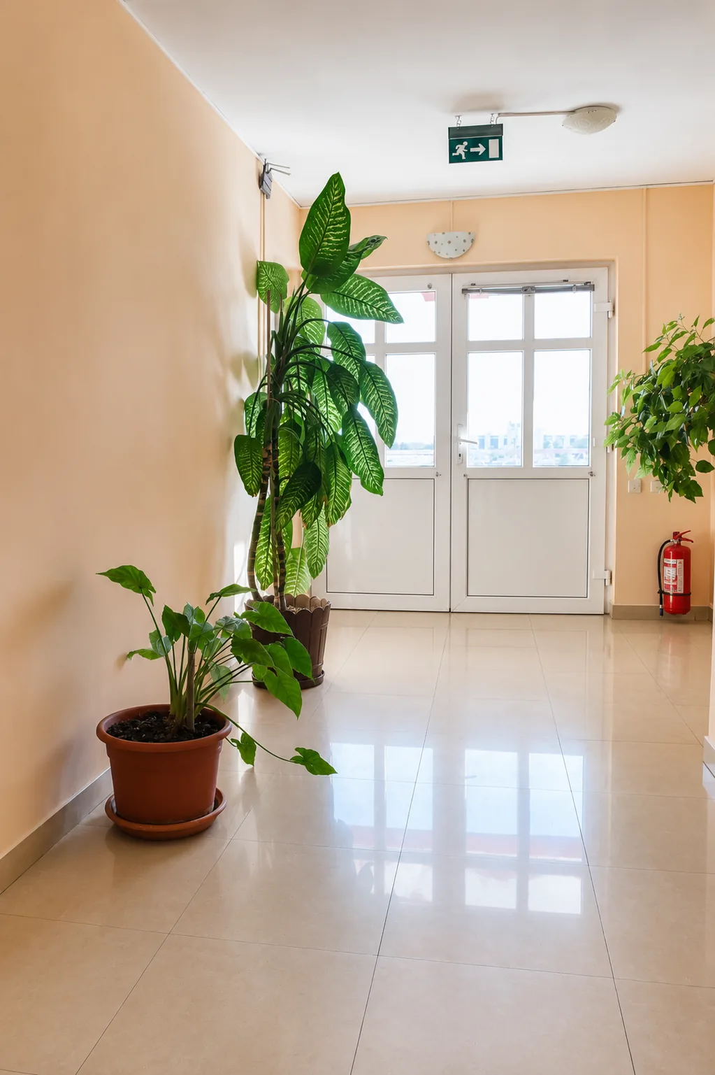 Motel DanaCris, Bragadiru — foto 62