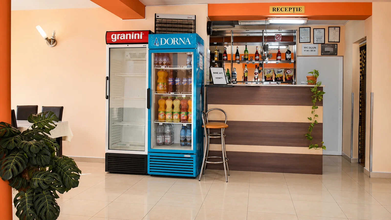 Motel DanaCris, Bragadiru — foto 71