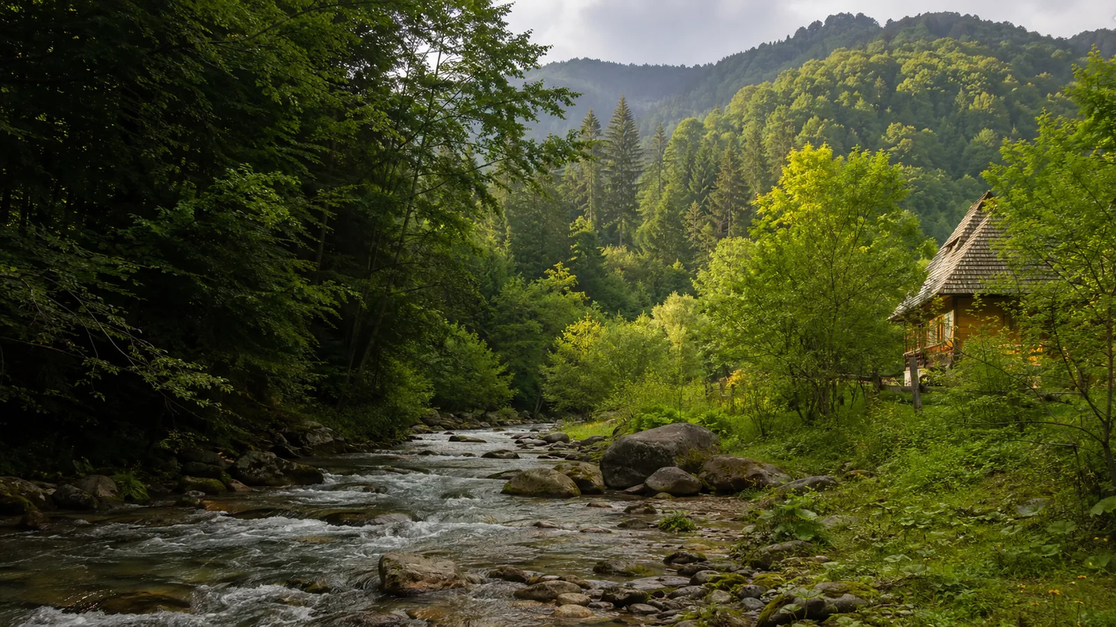 Cazare în Lepșa, Vrancea: ghid complet pentru o vacanță la munte