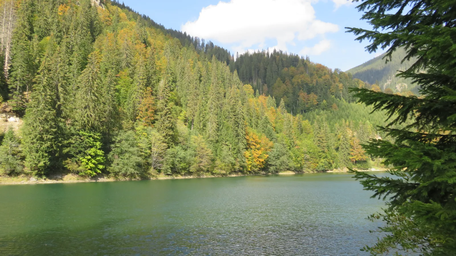 Lacul Galbenu foto 5