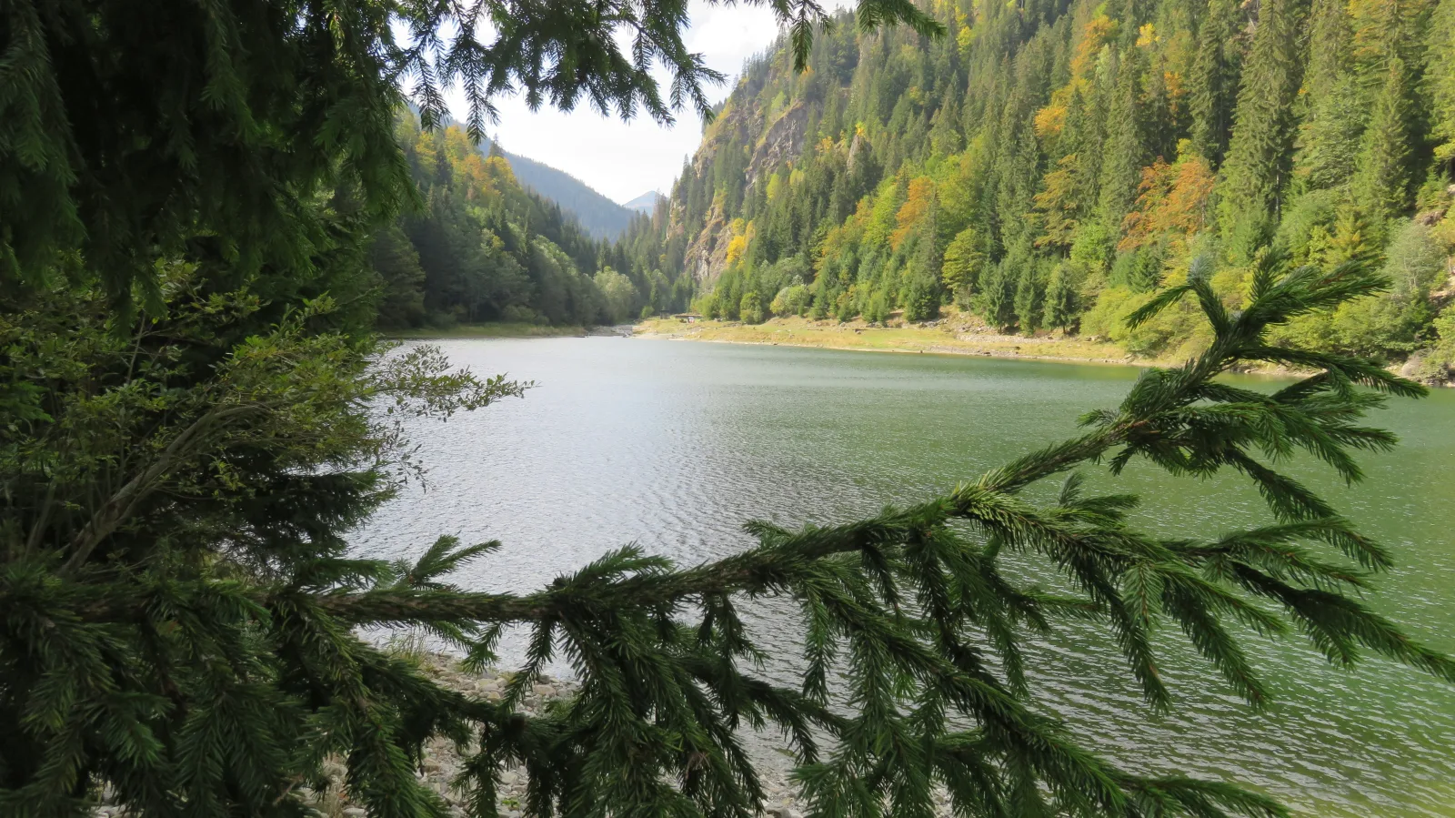 Lacul Galbenu foto 6