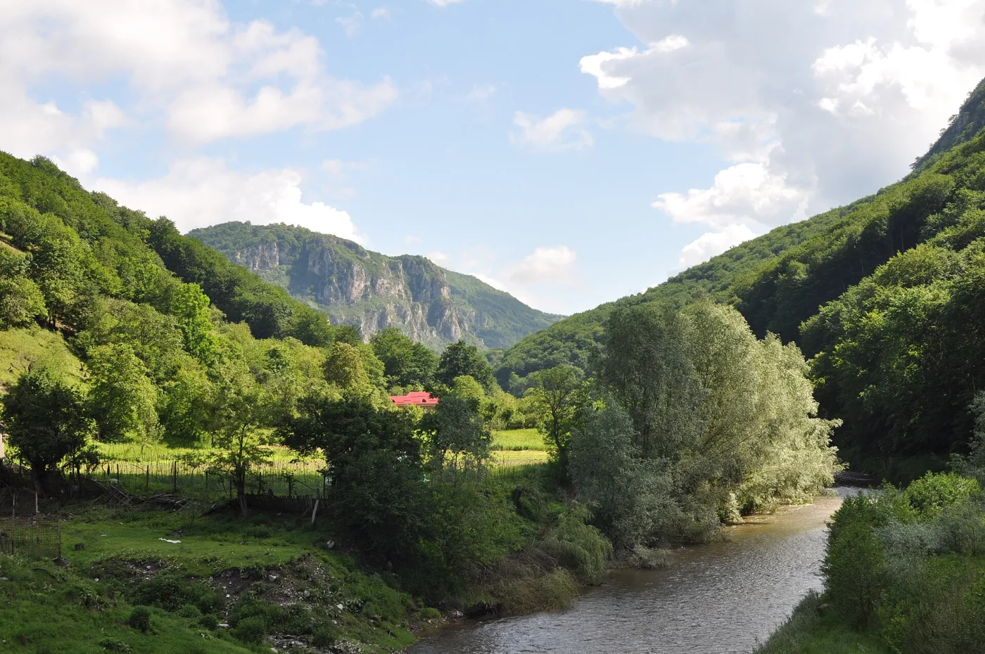 Domogled - Rezervația Floristică