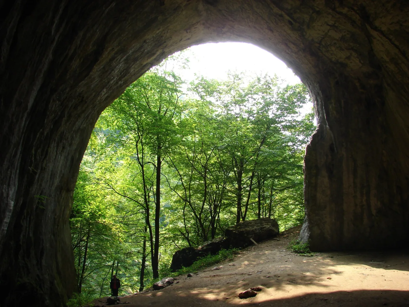 Rieni - Rezervația Peștera Meziad