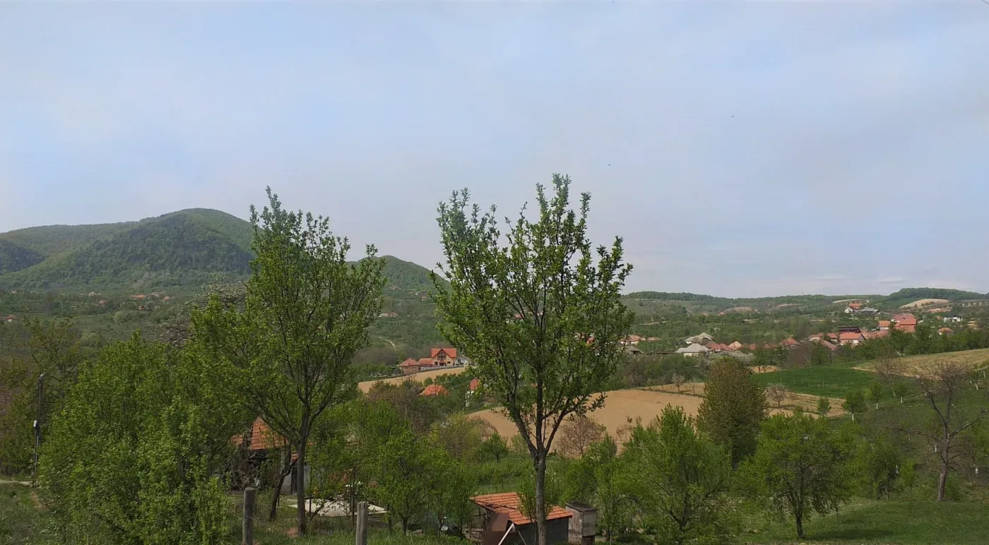 Turț - Vinăria Turț