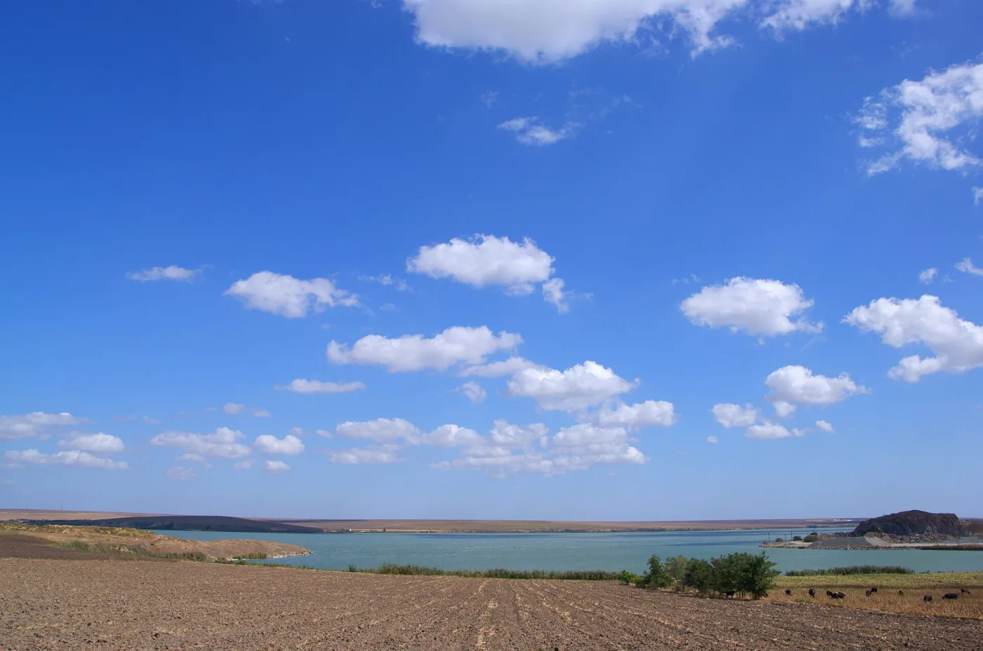 Lacul Taşaul