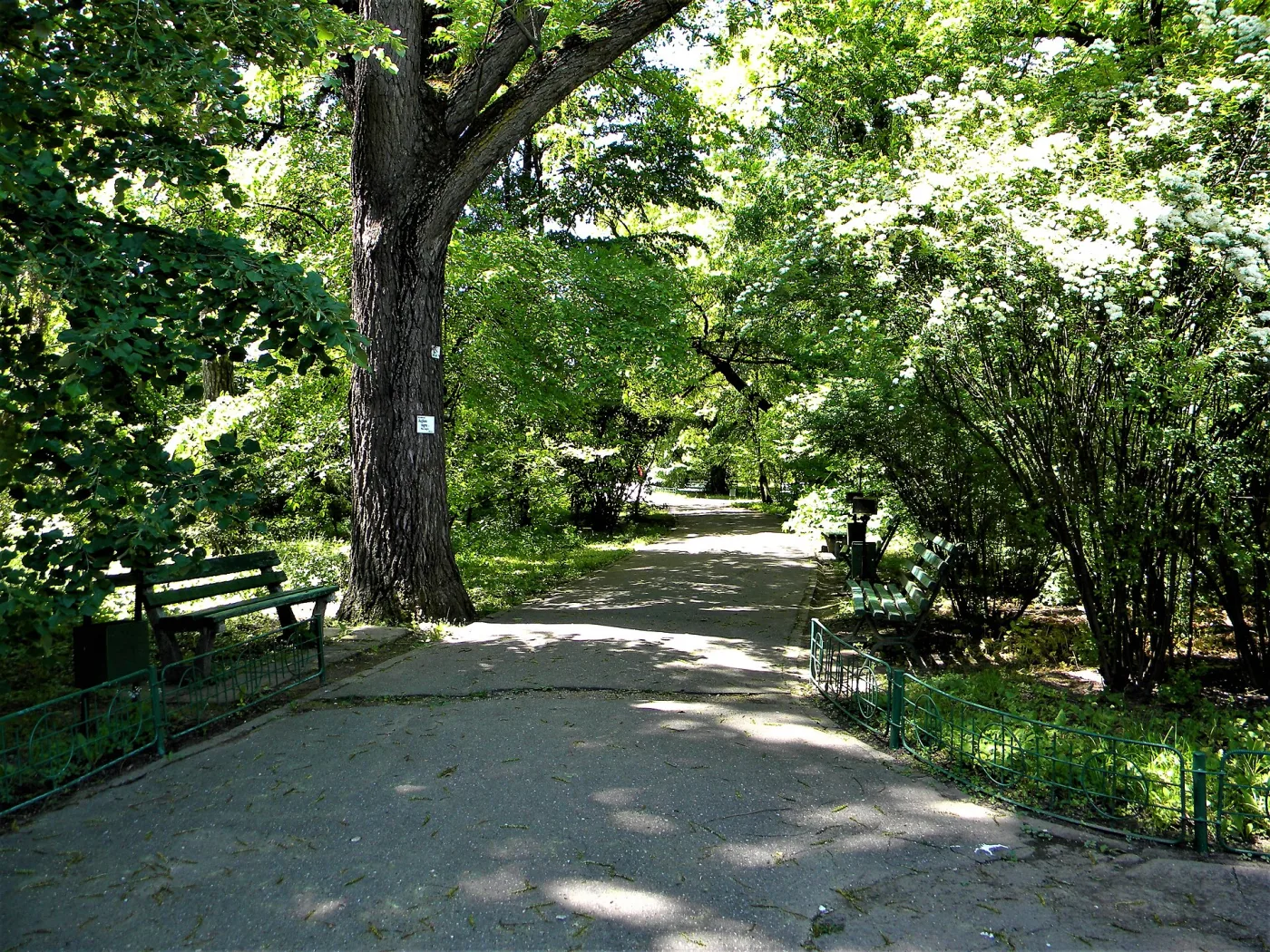 București - Grădina Botanică