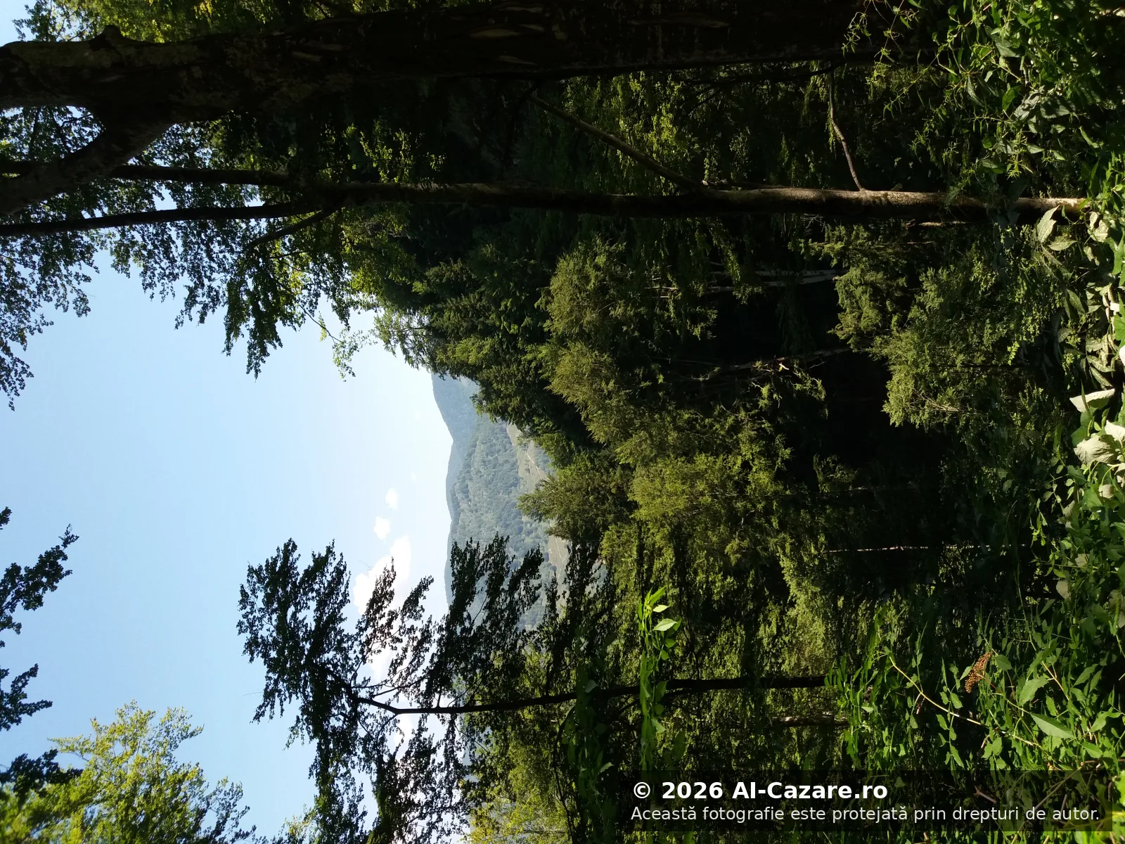 Cascada Scoruș Malaia foto 5