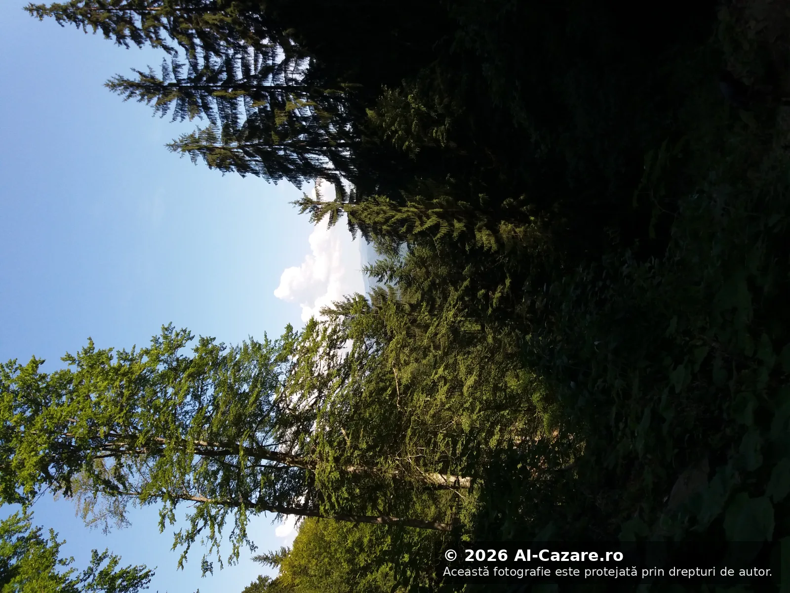 Cascada Scoruș Malaia foto 2