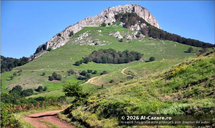 CETATEA DACICA APOULON
