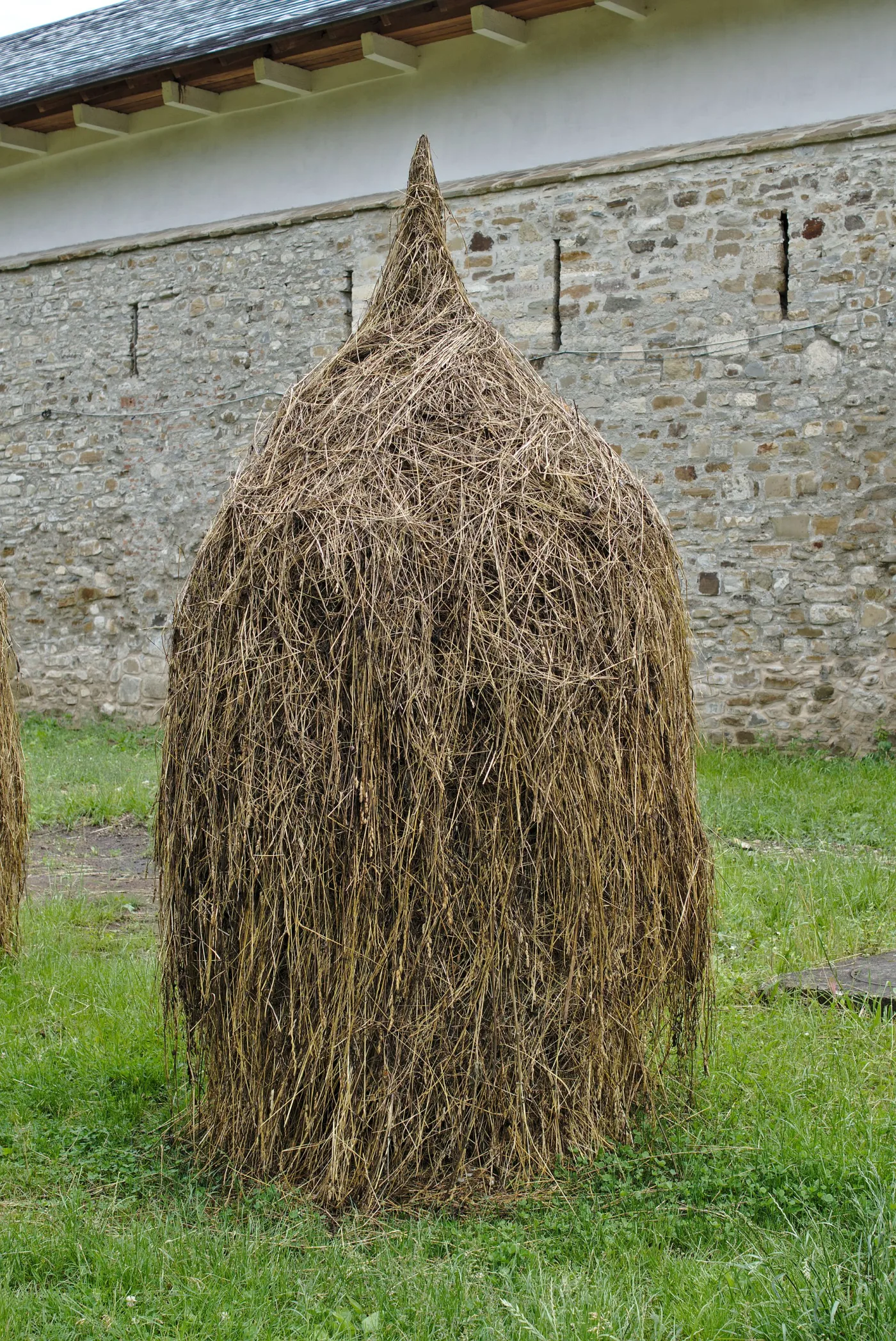 Mânăstirea Putna