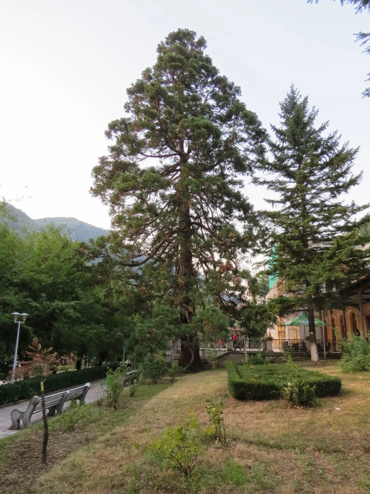 Băile Herculane