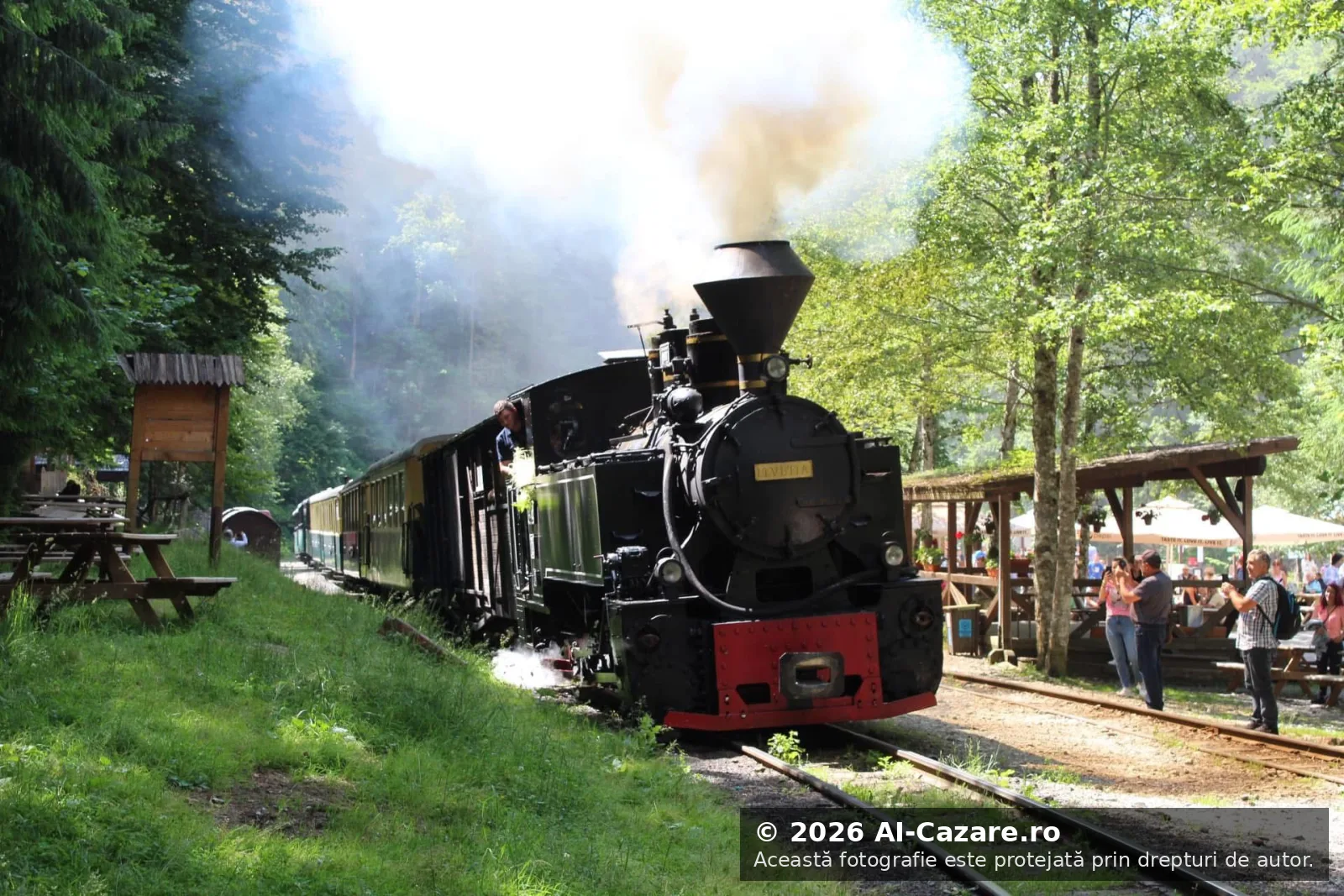 Mocănița Maramureș foto 3