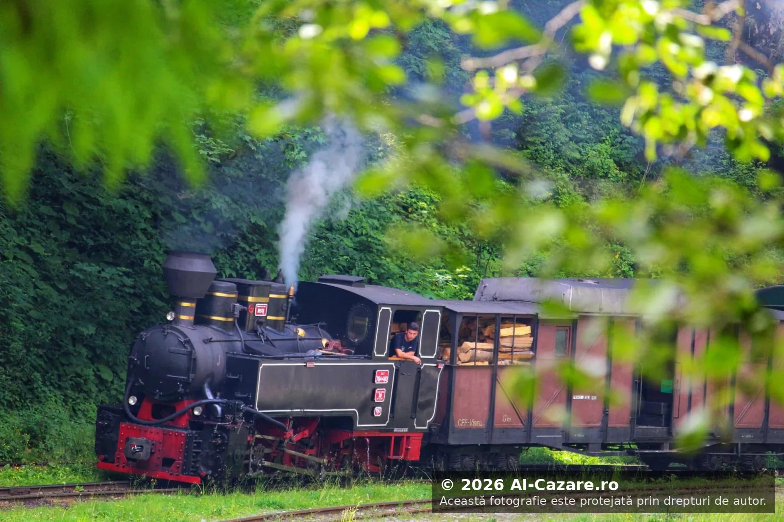 Mocănița Maramureș foto 4