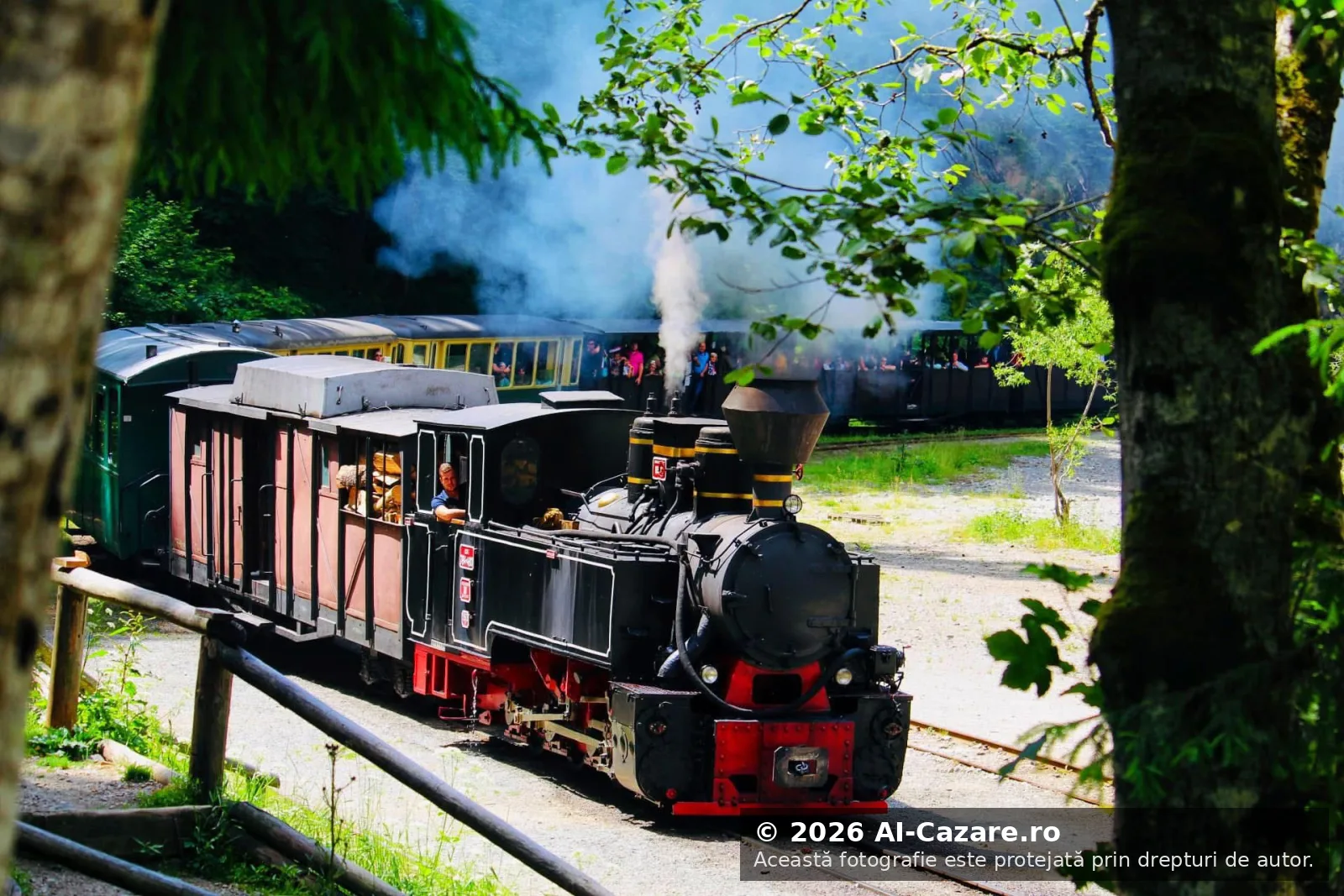 Mocănița Maramureș foto 2