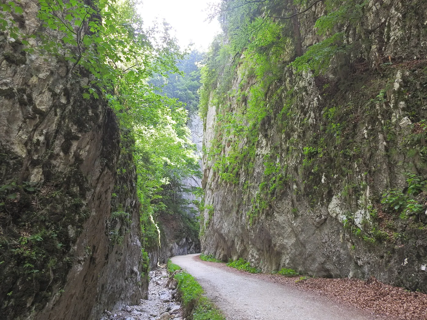 Cheile Zărneștilor